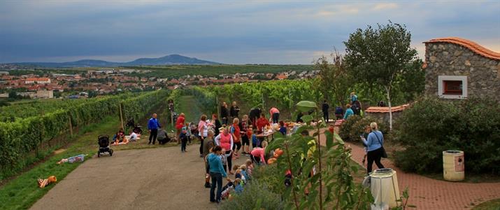 Městská knihovna * Desáté jubilejní DÝŇOBRANÍ pod rozhlednou Slunečná