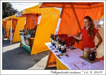 VELKOPAVLOVICKÉ VINOBRANÍ 2019 * 13. a 14. září 2019