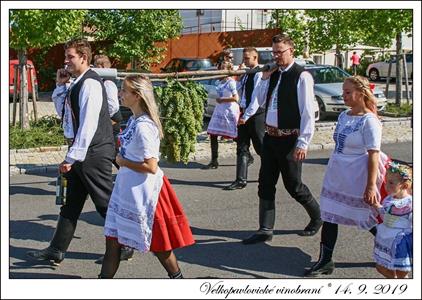 VELKOPAVLOVICKÉ VINOBRANÍ 2019 * 13. a 14. září 2019