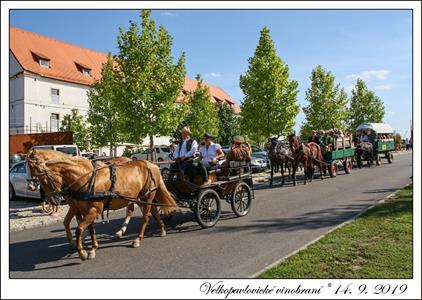 VELKOPAVLOVICKÉ VINOBRANÍ 2019 * 13. a 14. září 2019