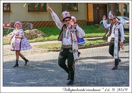VELKOPAVLOVICKÉ VINOBRANÍ 2019 * 13. a 14. září 2019