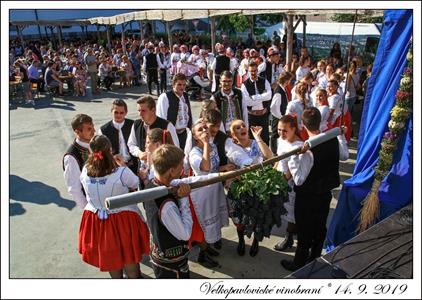 VELKOPAVLOVICKÉ VINOBRANÍ 2019 * 13. a 14. září 2019