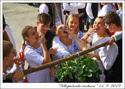 VELKOPAVLOVICKÉ VINOBRANÍ 2019 * 13. a 14. září 2019