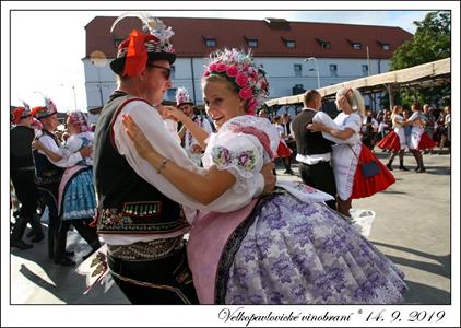 VELKOPAVLOVICKÉ VINOBRANÍ 2019 * 13. a 14. září 2019