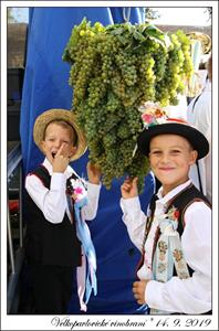VELKOPAVLOVICKÉ VINOBRANÍ 2019 * 13. a 14. září 2019
