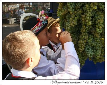 VELKOPAVLOVICKÉ VINOBRANÍ 2019 * 13. a 14. září 2019