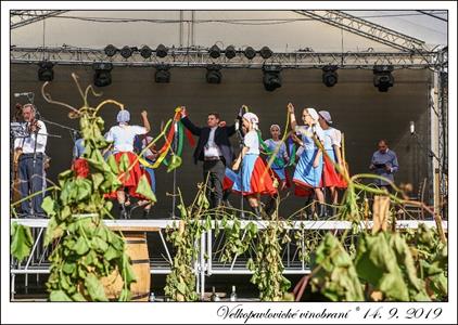 VELKOPAVLOVICKÉ VINOBRANÍ 2019 * 13. a 14. září 2019