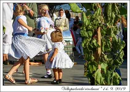 VELKOPAVLOVICKÉ VINOBRANÍ 2019 * 13. a 14. září 2019