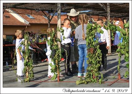VELKOPAVLOVICKÉ VINOBRANÍ 2019 * 13. a 14. září 2019