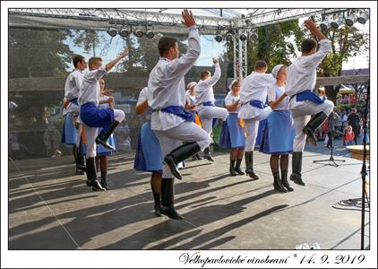 VELKOPAVLOVICKÉ VINOBRANÍ 2019 * 13. a 14. září 2019