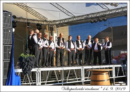 VELKOPAVLOVICKÉ VINOBRANÍ 2019 * 13. a 14. září 2019