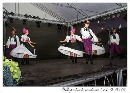 VELKOPAVLOVICKÉ VINOBRANÍ 2019 * 13. a 14. září 2019