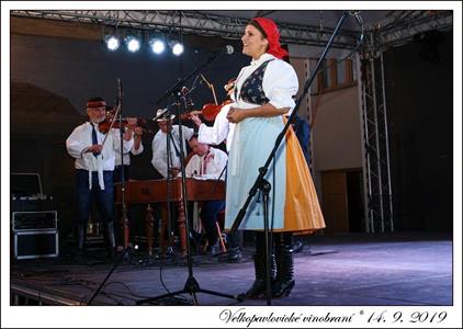 VELKOPAVLOVICKÉ VINOBRANÍ 2019 * 13. a 14. září 2019