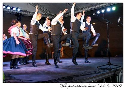 VELKOPAVLOVICKÉ VINOBRANÍ 2019 * 13. a 14. září 2019