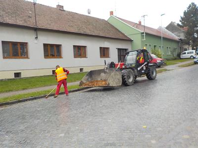 Služby města * Podzimní úklid: listí, listí, listí...