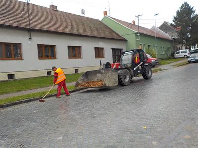 Služby města * Podzimní úklid: listí, listí, listí...