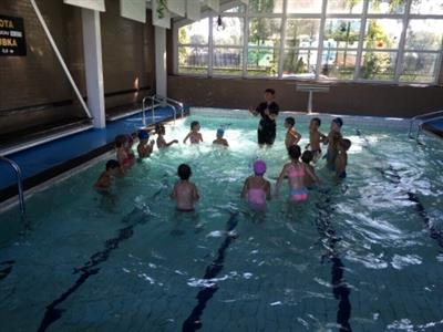 Mateřská škola * Kurz plavání předškoláků na bazénu v Hustopečích