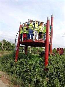 Mateřská škola * Koťátka na vycházce, vyhlídka Pajerka nad Opilými sklepy