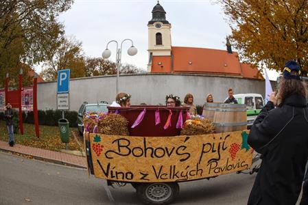 Svatomartinské otevřené sklepy