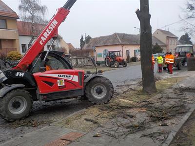 Služby města *  Kácení nebezpečných stromů na ulici Hlavní