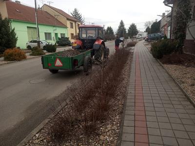 Služby města * Údržba zeleného pruhu v ulici Pod Břehy