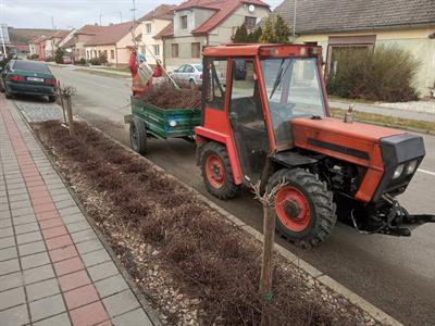 Služby města * Údržba zeleného pruhu v ulici Pod Břehy