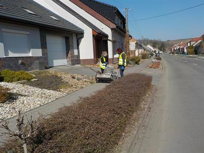 Služby města * Údržba zeleně