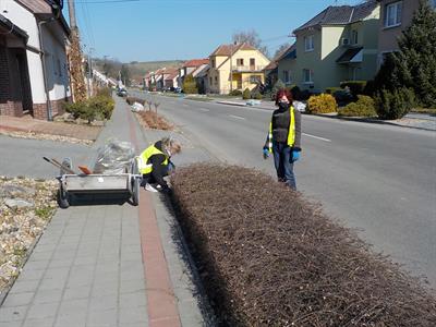 Služby města * Údržba zeleně