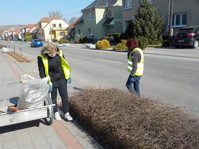 Služby města * Údržba zeleně