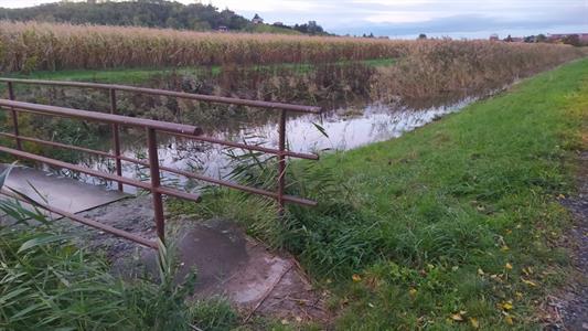 Město Velké Pavlovice * Rozvodněný potok Trkmanka