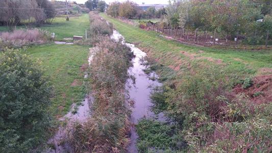 Město Velké Pavlovice * Rozvodněný potok Trkmanka