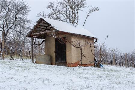 Město Velké Pavlovice * První sníh