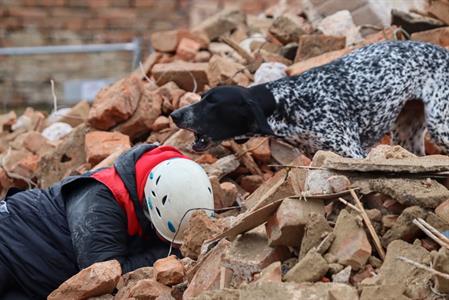 Město Velké Pavlovice * Záchranáři a jejich psi využili sutiny kina ke cvičení
