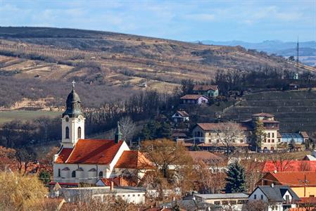 Město Velké Pavlovice * Probouzející se jarní krajina okolo Velkých Pavlovic