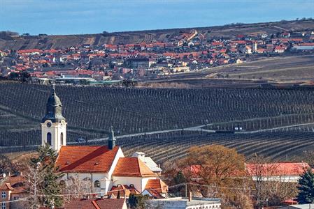 Město Velké Pavlovice * Probouzející se jarní krajina okolo Velkých Pavlovic