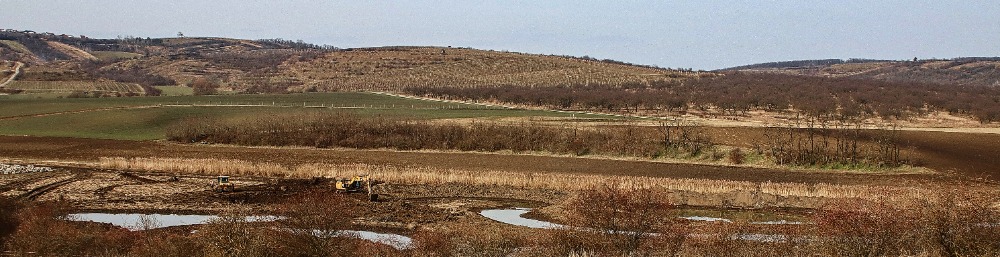 Město Velké Pavlovice * Nově vznikající tůně a meandry okolo říčky Trkmanky