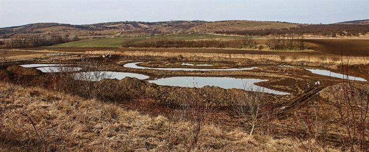 Město Velké Pavlovice * Nově vznikající tůně a meandry okolo říčky Trkmanky