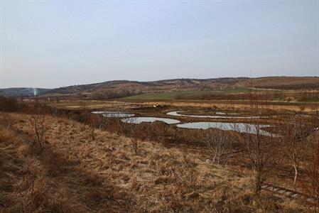 Město Velké Pavlovice * Nově vznikající tůně a meandry okolo říčky Trkmanky