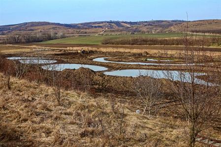 Město Velké Pavlovice * Nově vznikající tůně a meandry okolo říčky Trkmanky