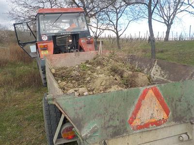 Služby města * Úklid černé skládky