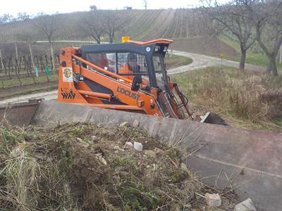 Služby města * Úklid černé skládky