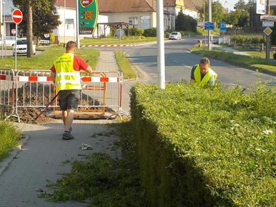 Služby města * Údržba zeleně