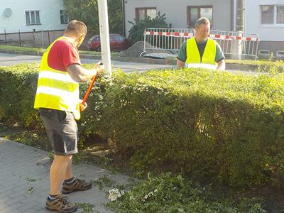 Služby města * Údržba zeleně