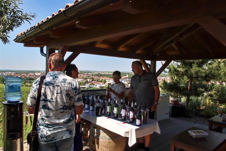 VOC Vinice * Putování vinicemi za víny VOC - nultý ročník 2021