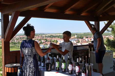 VOC Vinice * Putování vinicemi za víny VOC - nultý ročník 2021