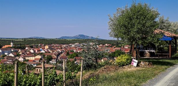 VOC Vinice * Putování vinicemi za víny VOC - nultý ročník 2021