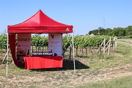 VOC Vinice * Putování vinicemi za víny VOC - nultý ročník 2021