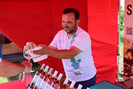 VOC Vinice * Putování vinicemi za víny VOC - nultý ročník 2021