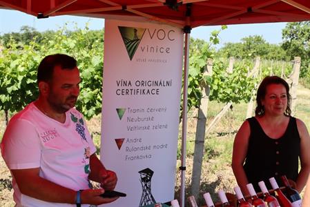 VOC Vinice * Putování vinicemi za víny VOC - nultý ročník 2021