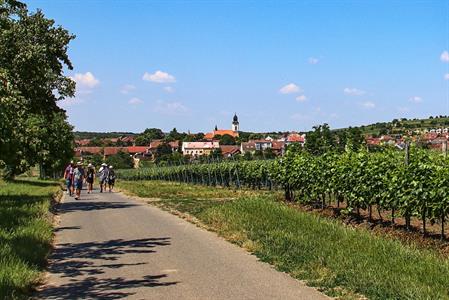 VOC Vinice * Putování vinicemi za víny VOC - nultý ročník 2021